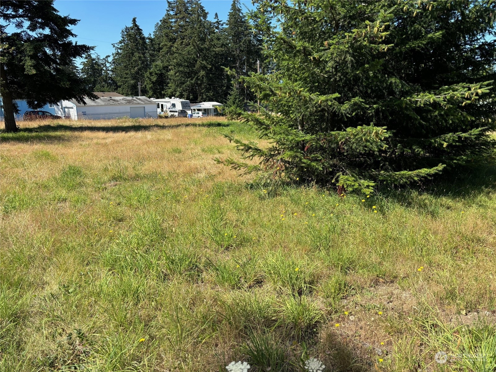 1391 North Goldie Road Oak Harbor, WA 98277 - Photo 8 of 9 Gallery Image 8