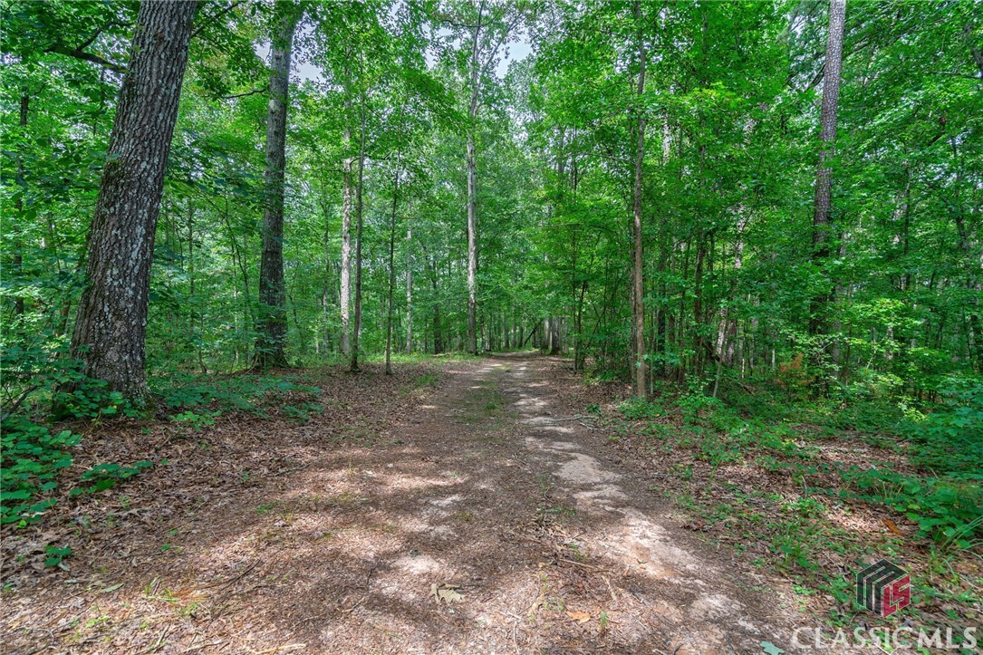 6191 Colham Ferry Road Watkinsville, GA 30677 - Photo 54 of 60