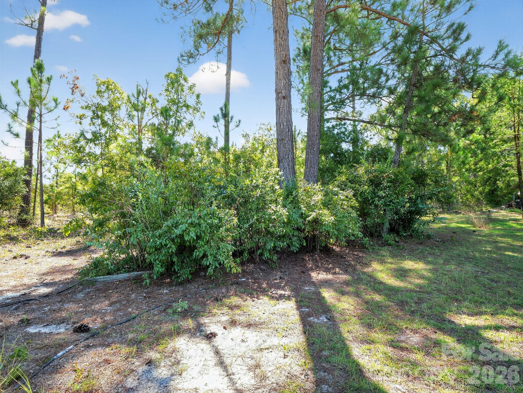 1035 McMillan Road Cheraw, SC 29520 - Photo 22 of 22