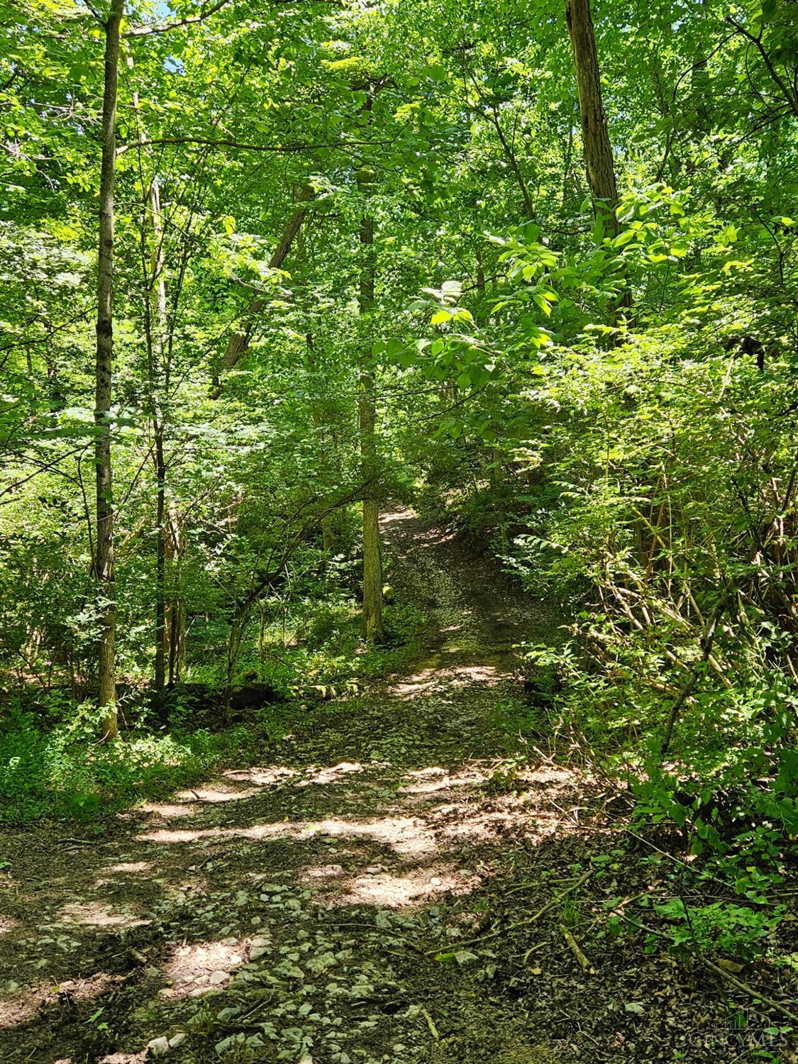 370 Wooded Run Road Felicity, OH 45120 - Photo 35 of 46