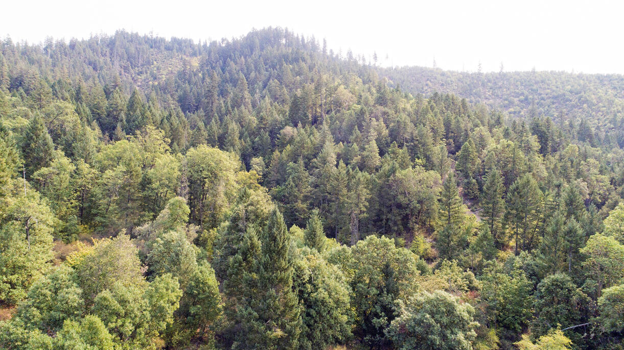 3001 Davis Creek Road Selma, OR 97538 - Photo 18 of 32 DJI_0287