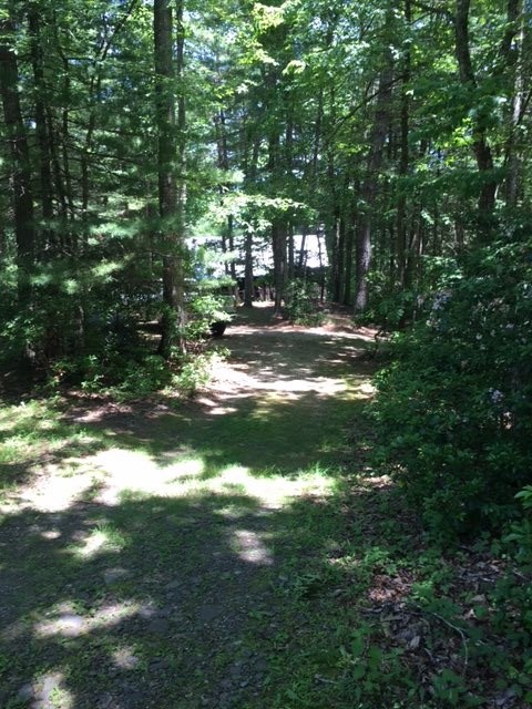 Tbd Coursey Springs Road Millboro, VA 24460 - Photo 2 of 7 Gallery Image 2