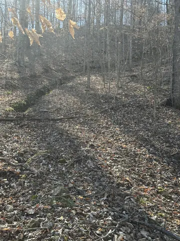 $695,000 | 0 Buck Branch Road, Duck River, TN 38454