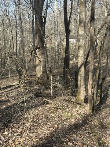 $695,000 | 0 Buck Branch Road, Duck River, TN 38454