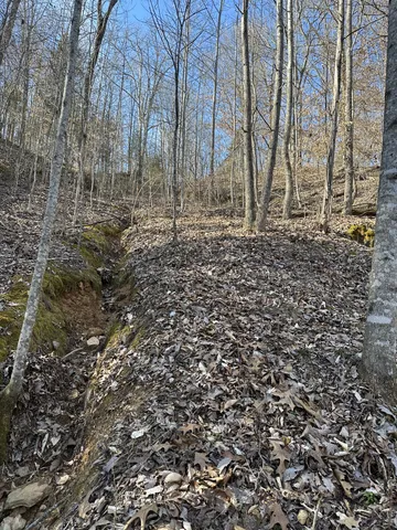 $695,000 | 0 Buck Branch Road, Duck River, TN 38454