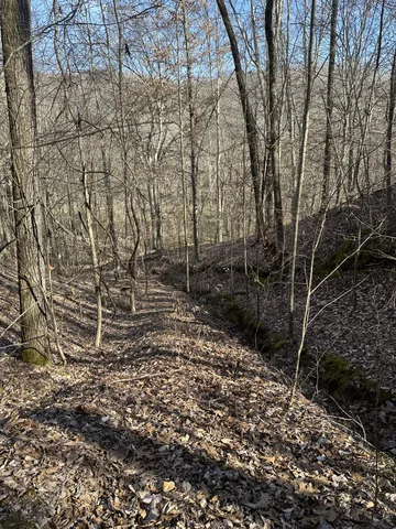 $695,000 | 0 Buck Branch Road, Duck River, TN 38454