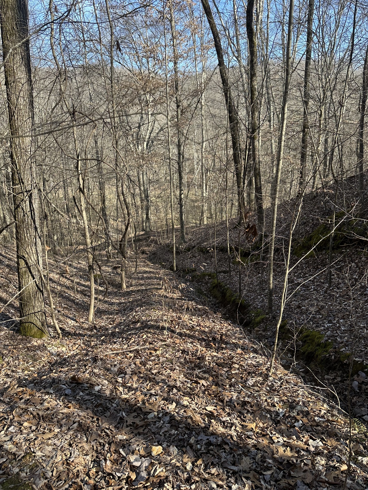 0 Buck Branch Road Duck River, TN 38454 - Photo 8 of 9