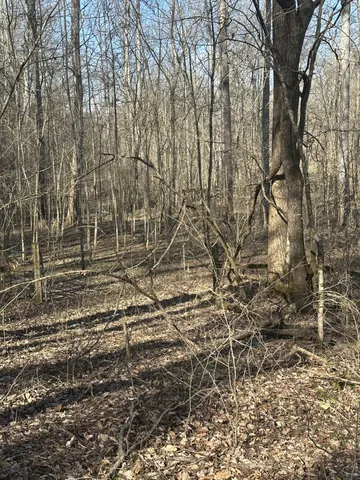 $695,000 | 0 Buck Branch Road, Duck River, TN 38454