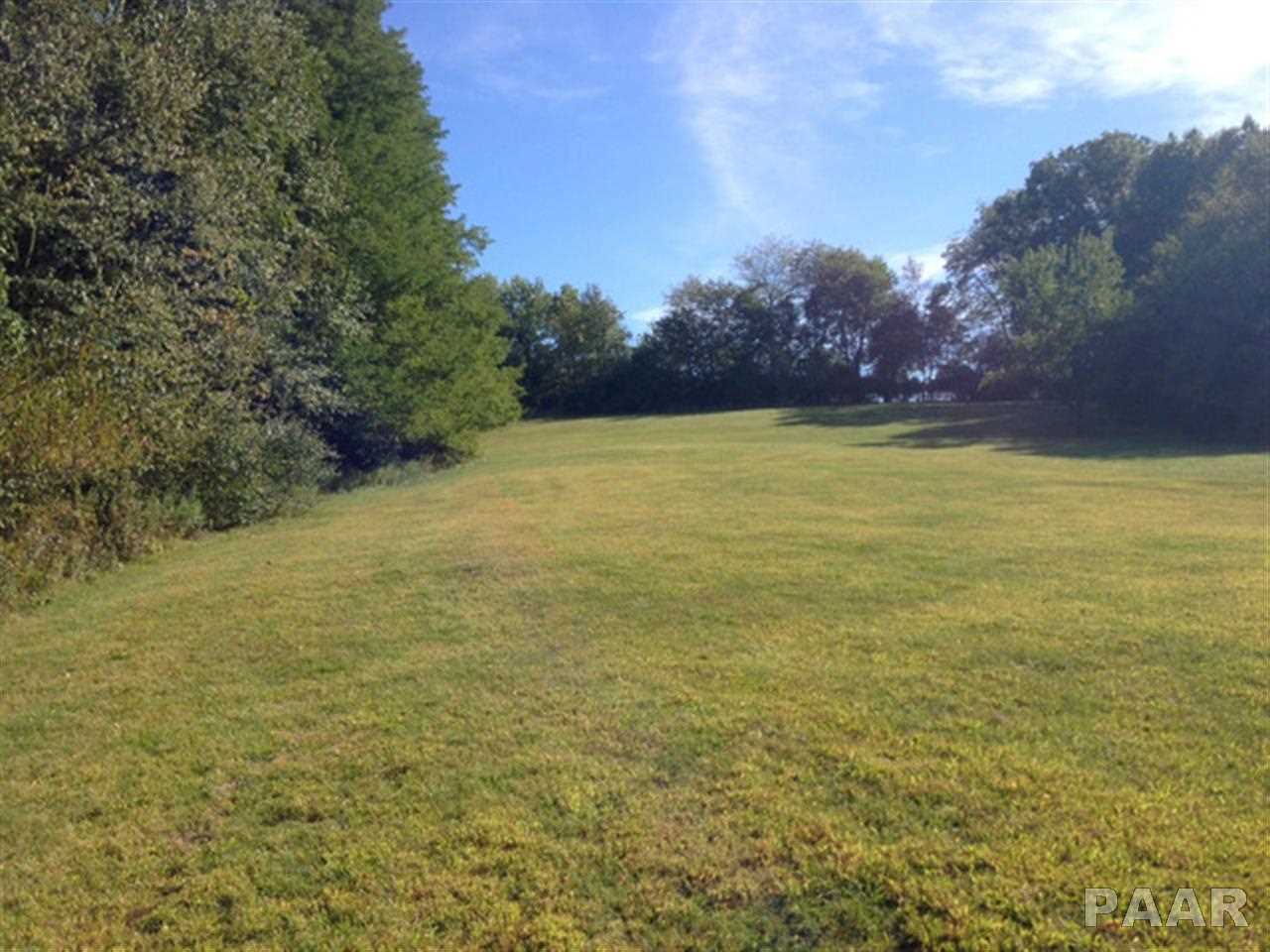 18230 River Road Danvers, IL 61732 - Photo 1 of 3