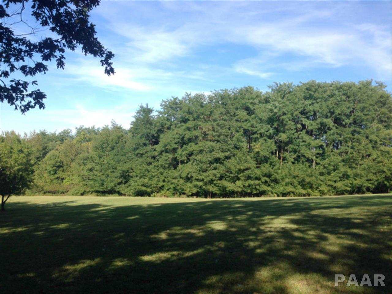 18230 River Road Danvers, IL 61732 - Photo 2 of 3