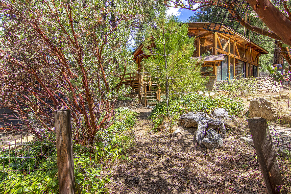 25106 Rim Rock Road Idyllwild, CA 92549 - Photo 44 of 90 IMG_3617