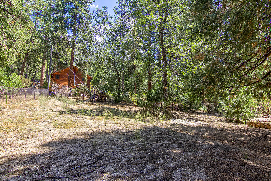 25106 Rim Rock Road Idyllwild, CA 92549 - Photo 82 of 90 a view of backyard with green space