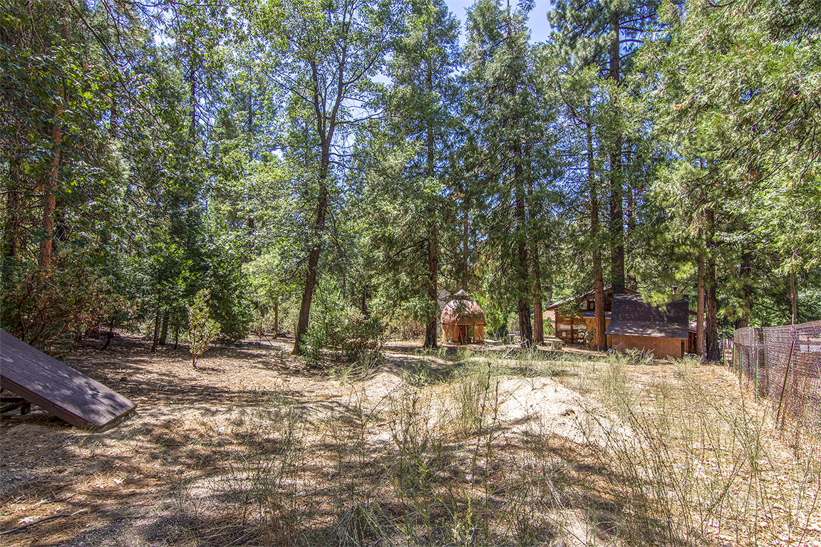 25106 Rim Rock Road Idyllwild, CA 92549 - Photo 83 of 90 IMG_3794