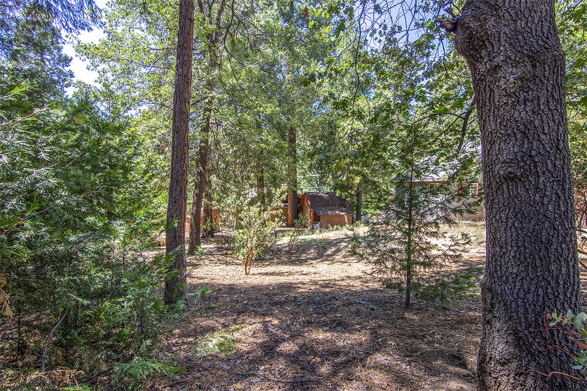 25106 Rim Rock Road Idyllwild, CA 92549 - Photo 84 of 90 IMG_3800