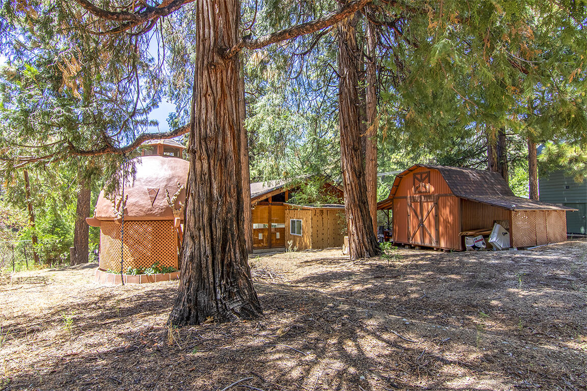 25106 Rim Rock Road Idyllwild, CA 92549 - Photo 85 of 90 a backyard of a house with plants and large tree