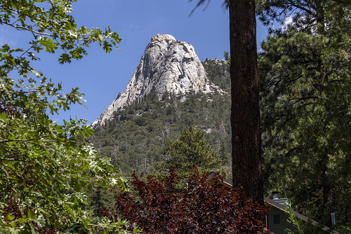 25106 Rim Rock Road Idyllwild, CA 92549 - Photo 90 of 90 a view of a flower in a garden