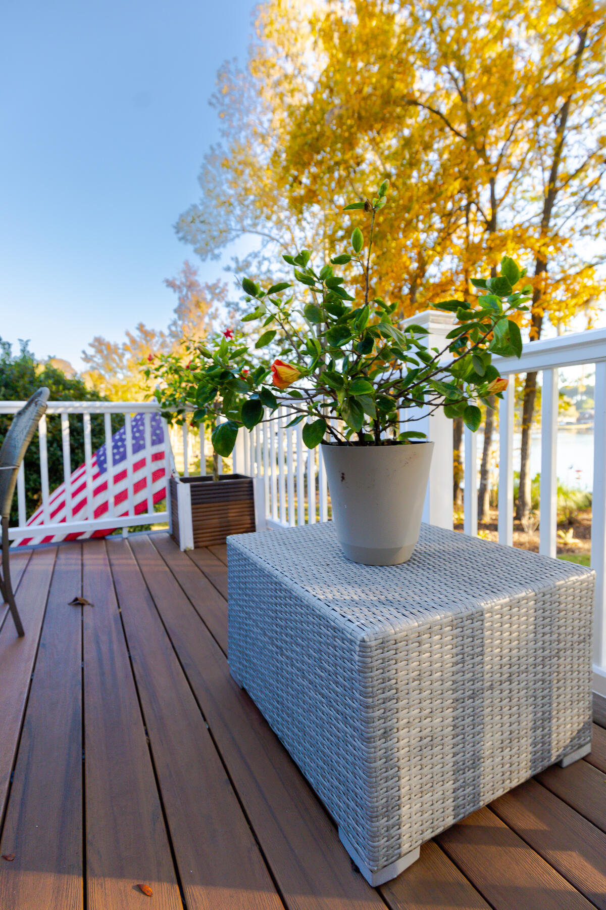 33 Ridge Lake Drive Manning, SC 29102 - Photo 151 of 205 CM-151