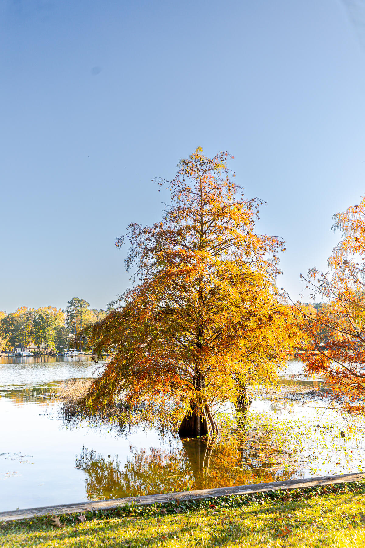 33 Ridge Lake Drive Manning, SC 29102 - Photo 169 of 205 CM-169