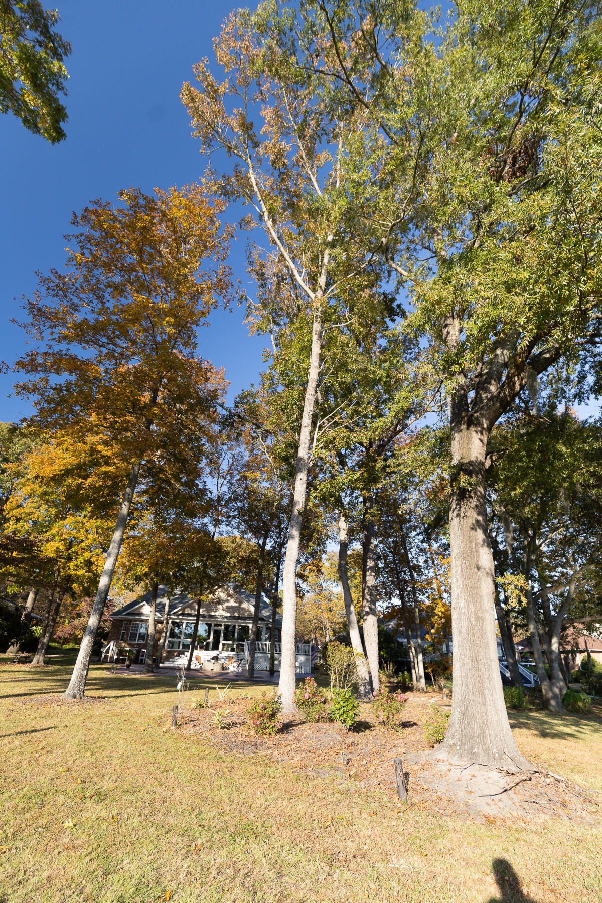 33 Ridge Lake Drive Manning, SC 29102 - Photo 170 of 205 CM-170