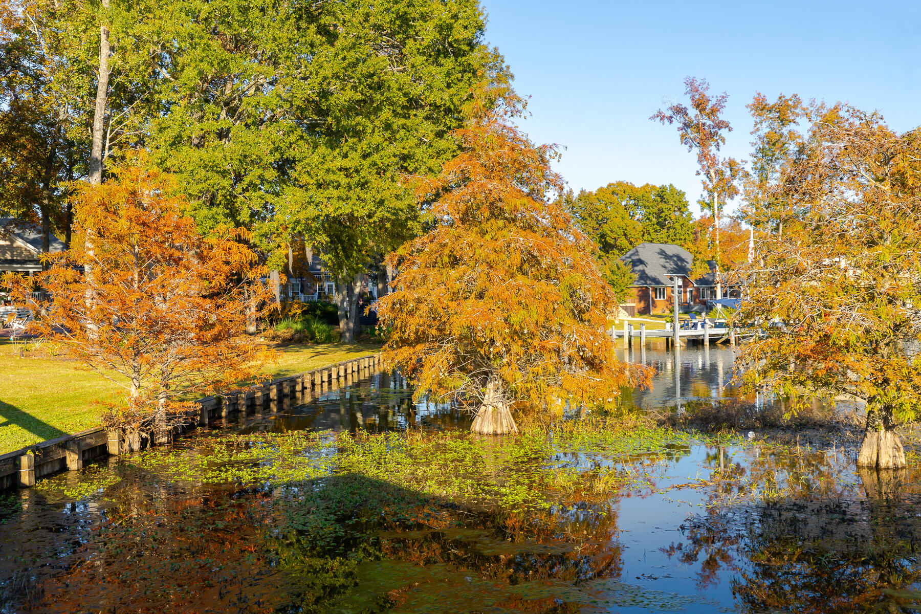 33 Ridge Lake Drive Manning, SC 29102 - Photo 181 of 205 CM-181