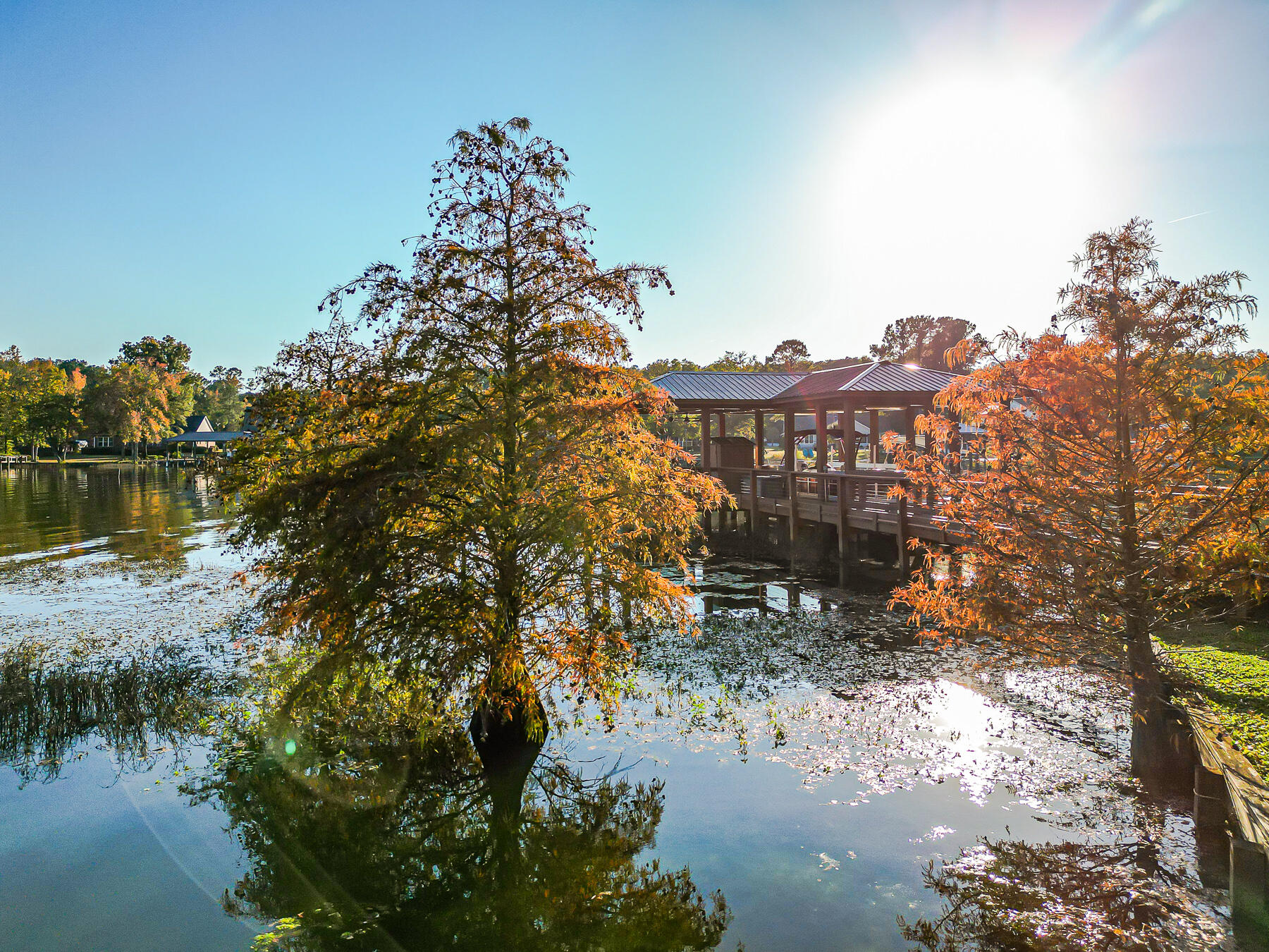 33 Ridge Lake Drive Manning, SC 29102 - Photo 197 of 205 CM-197