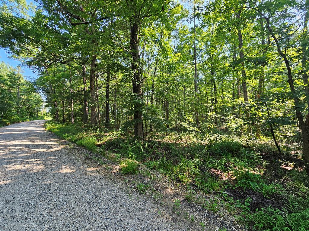 Sycamore Creek Road Buckingham, VA 23921 - Photo 1 of 13 Gallery Image 1