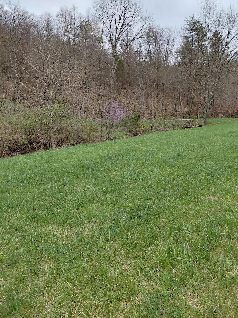 97 Bethel Road Patriot, OH 45658 - Photo 19 of 37 20250409_162737