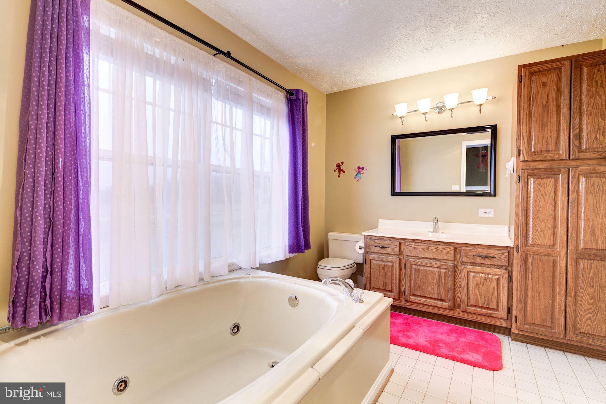 3891 Gamber Road Finksburg, MD 21048 - Photo 17 of 30 Upper 1 Master Bathroom with jetted tub and shower