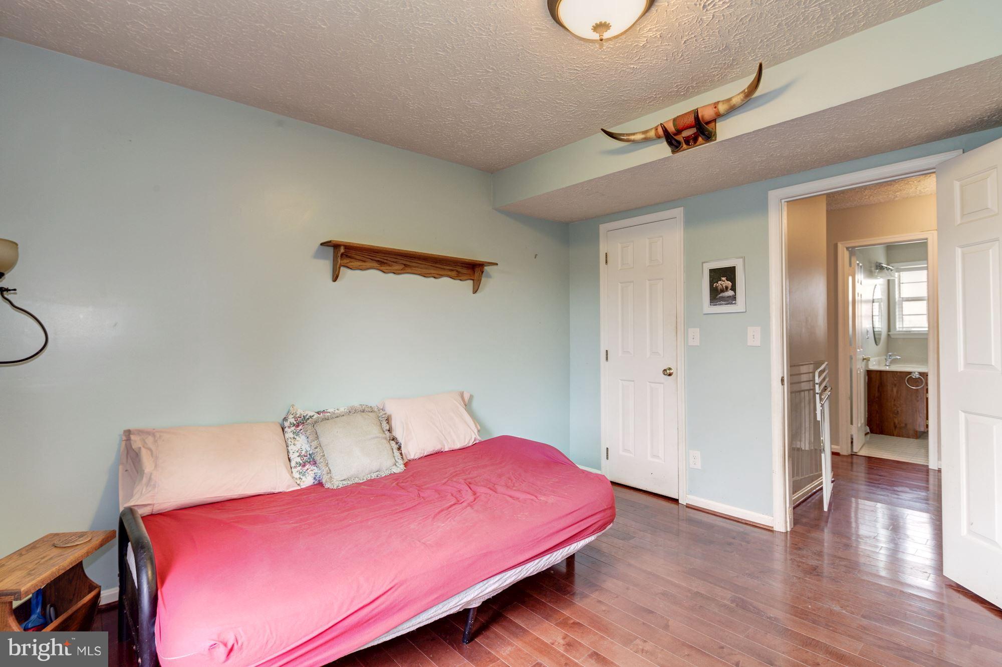 3891 Gamber Road Finksburg, MD 21048 - Photo 23 of 30 Lower Level 1 Bedroom #2 with w/in closet