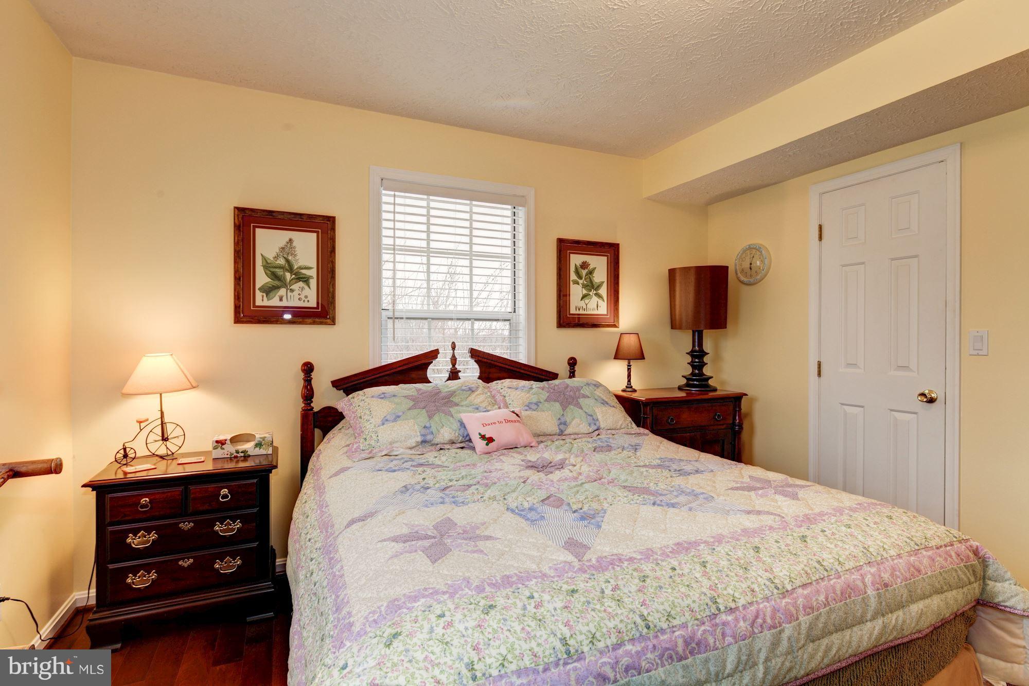 3891 Gamber Road Finksburg, MD 21048 - Photo 25 of 30 Lower Level 1 Bedroom #3 with w/in closet