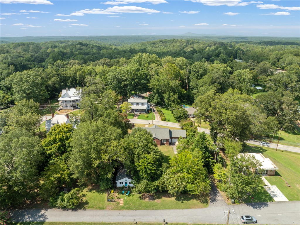 208 Gaines Street Central, SC 29630 - Photo 35 of 44