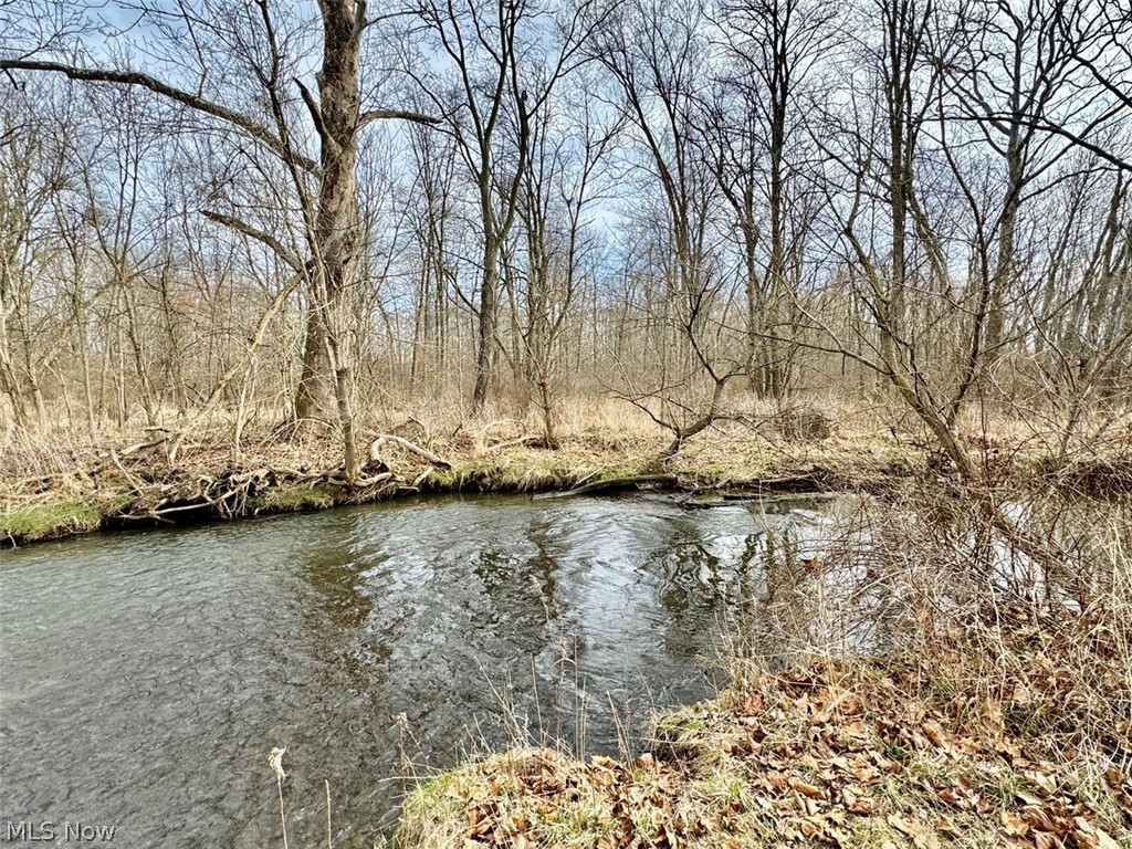 1445 Killian Road Akron, OH 44312 - Photo 19 of 21 View of water feature