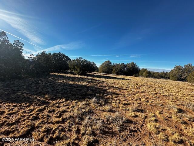 37916 West Howling Coyote Road Seligman, AZ 86337 - Photo 3 of 8 a view of a yard
