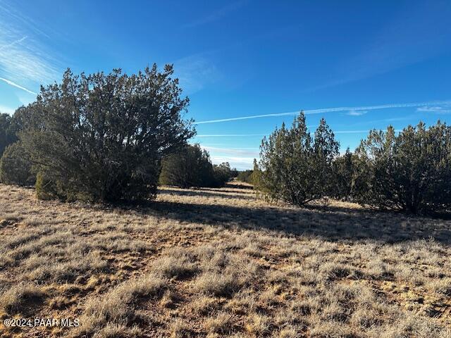 37916 West Howling Coyote Road Seligman, AZ 86337 - Photo 4 of 8 a view of a yard with wooden fence
