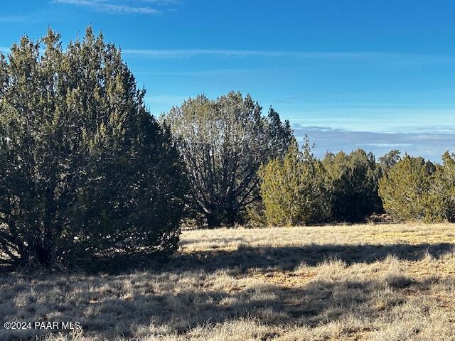 37916 West Howling Coyote Road Seligman, AZ 86337 - Photo 5 of 8 a view of a yard with a tree