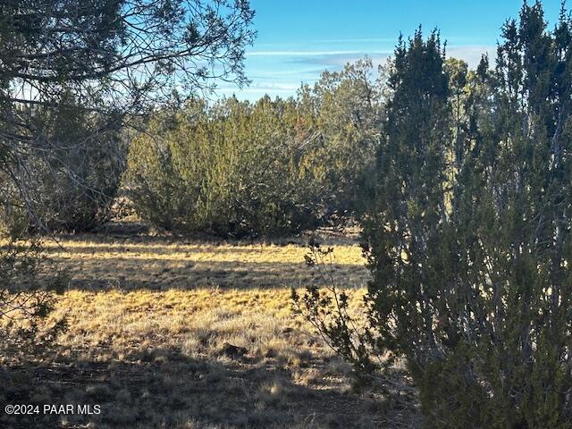 37916 West Howling Coyote Road Seligman, AZ 86337 - Photo 6 of 8 a view of yard with trees