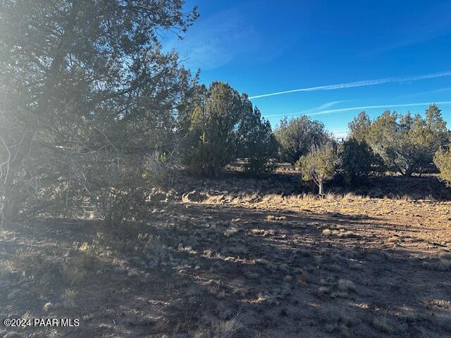 37916 West Howling Coyote Road Seligman, AZ 86337 - Photo 8 of 8