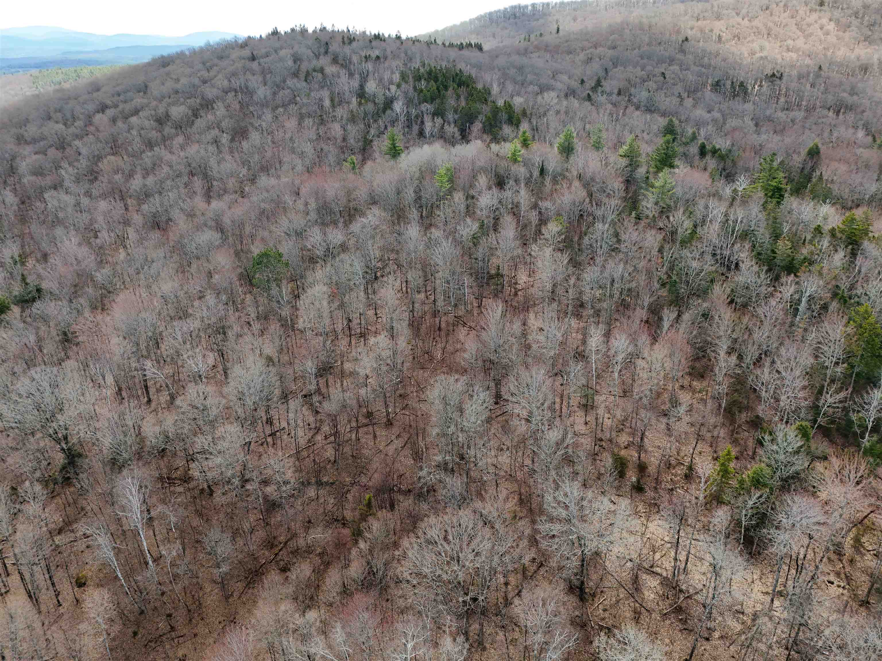 287 Meader Road Ryegate, VT 05042 - Photo 14 of 19