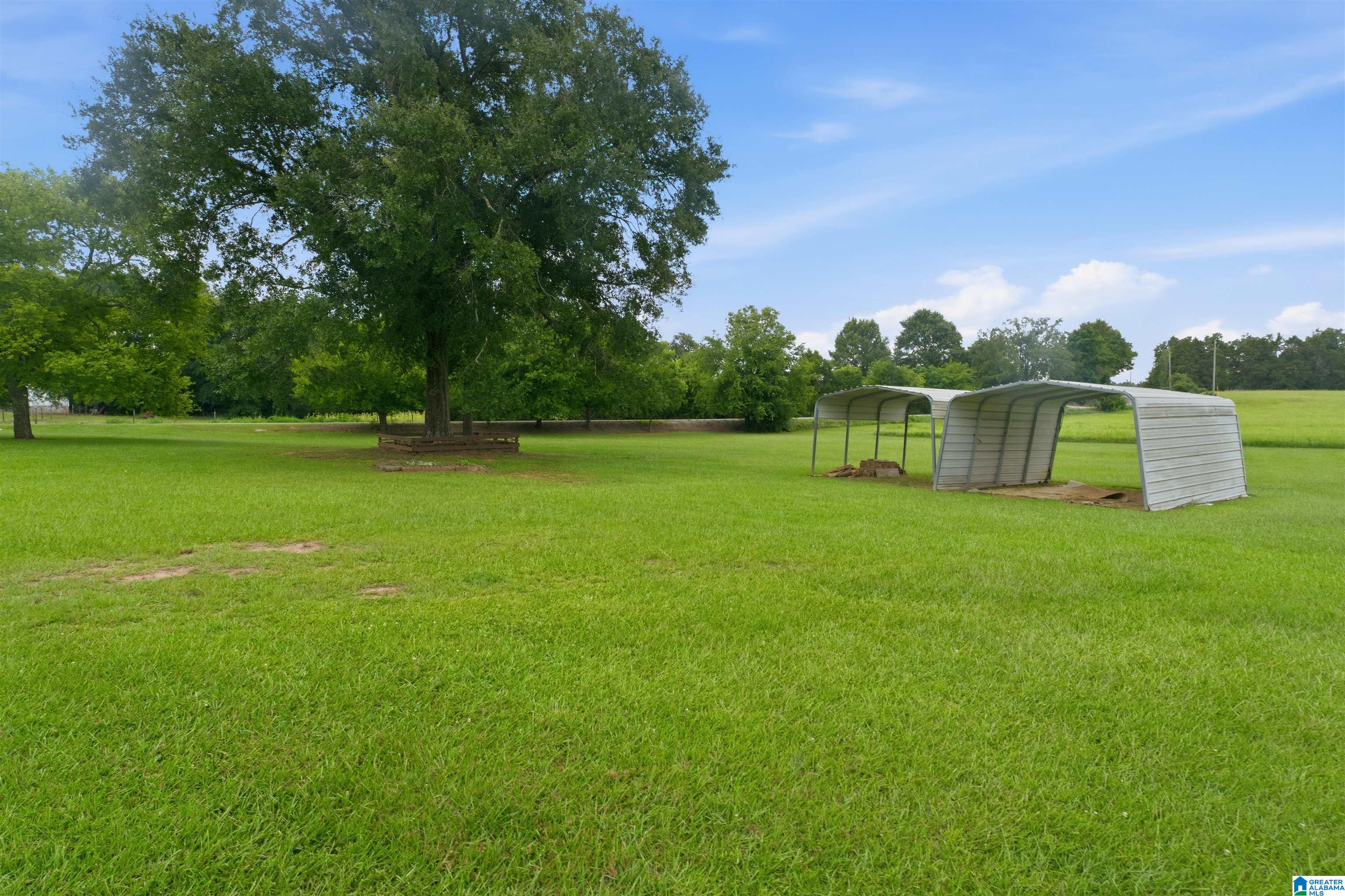 4495 Odena Road Road Alpine, AL 35014 - Photo 61 of 66