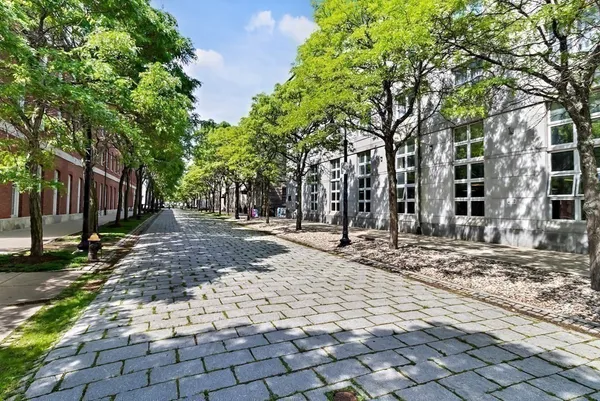 a view of a yard with plants and trees