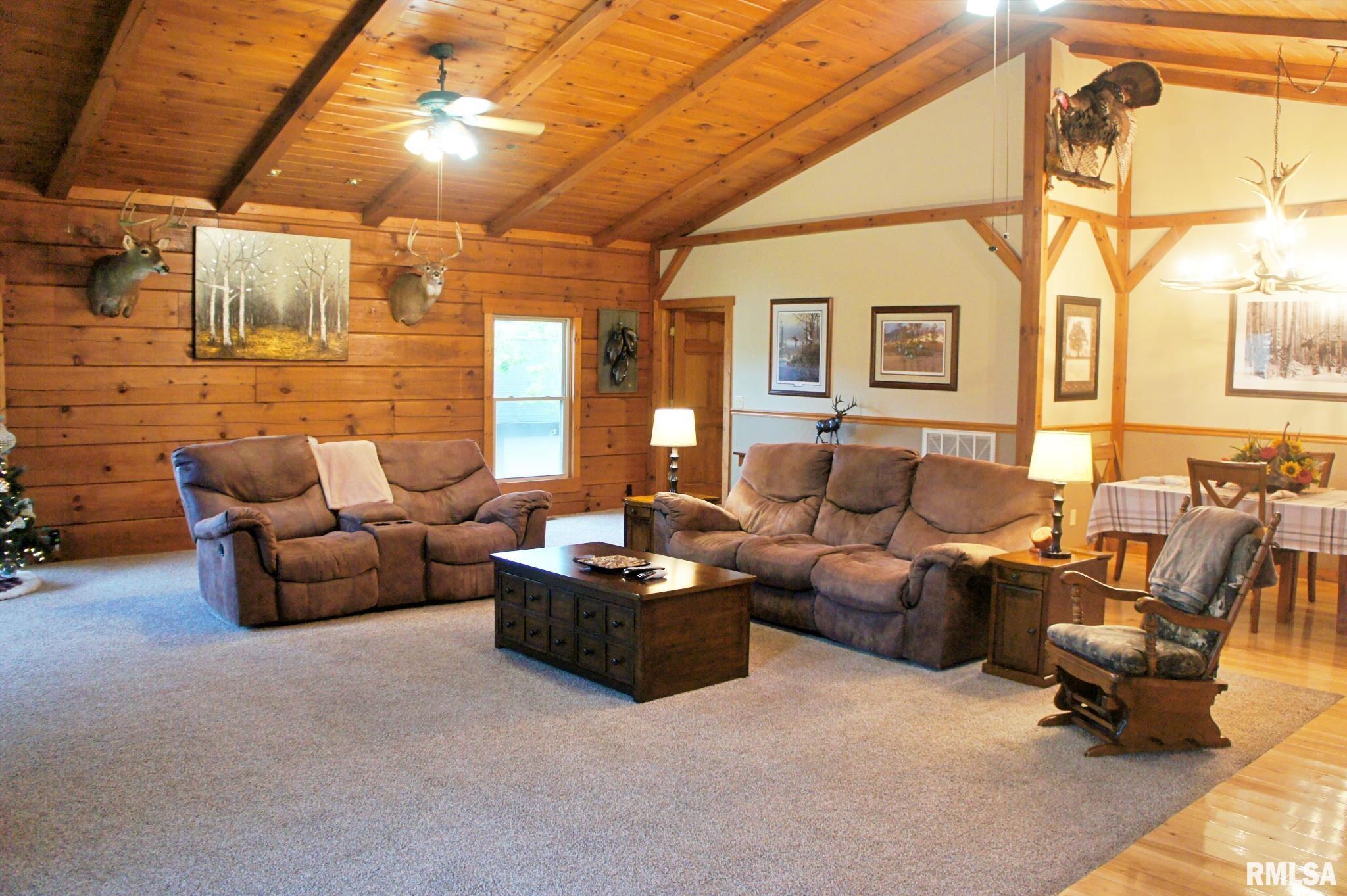 31 Stogey Road Brookport, IL 62910 - Photo 42 of 74 Gallery Image 42