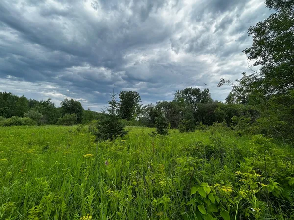 $25,000 | Tbd Tbd Ash Street, Federal Dam, MN 56641
