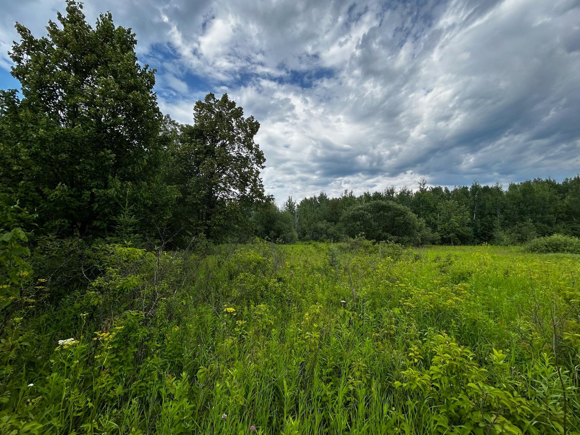 Tbd Tbd Ash Street Federal Dam, MN 56641 - Photo 2 of 3