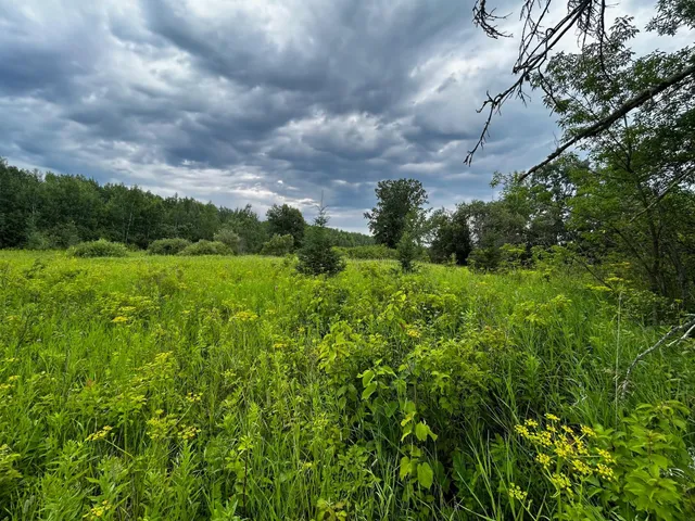 $25,000 | Tbd Tbd Ash Street, Federal Dam, MN 56641