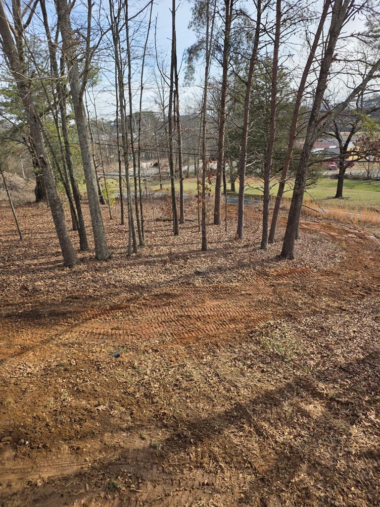 15 River Street Blue Ridge, GA 30513 - Photo 17 of 20