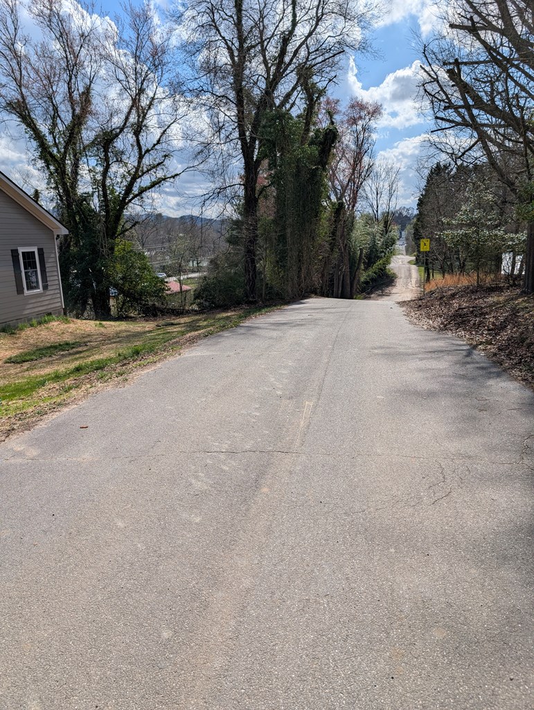 15 River Street Blue Ridge, GA 30513 - Photo 4 of 20