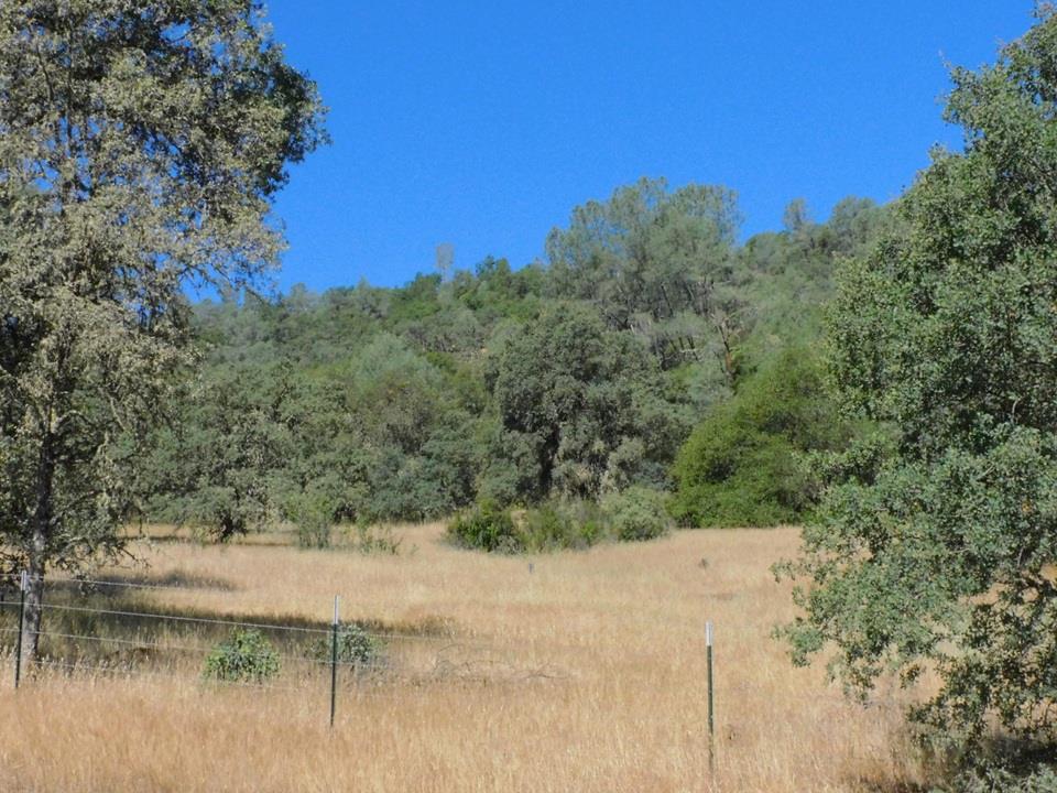 112 Union Mine Road El Dorado, CA 95623 - Photo 17 of 31