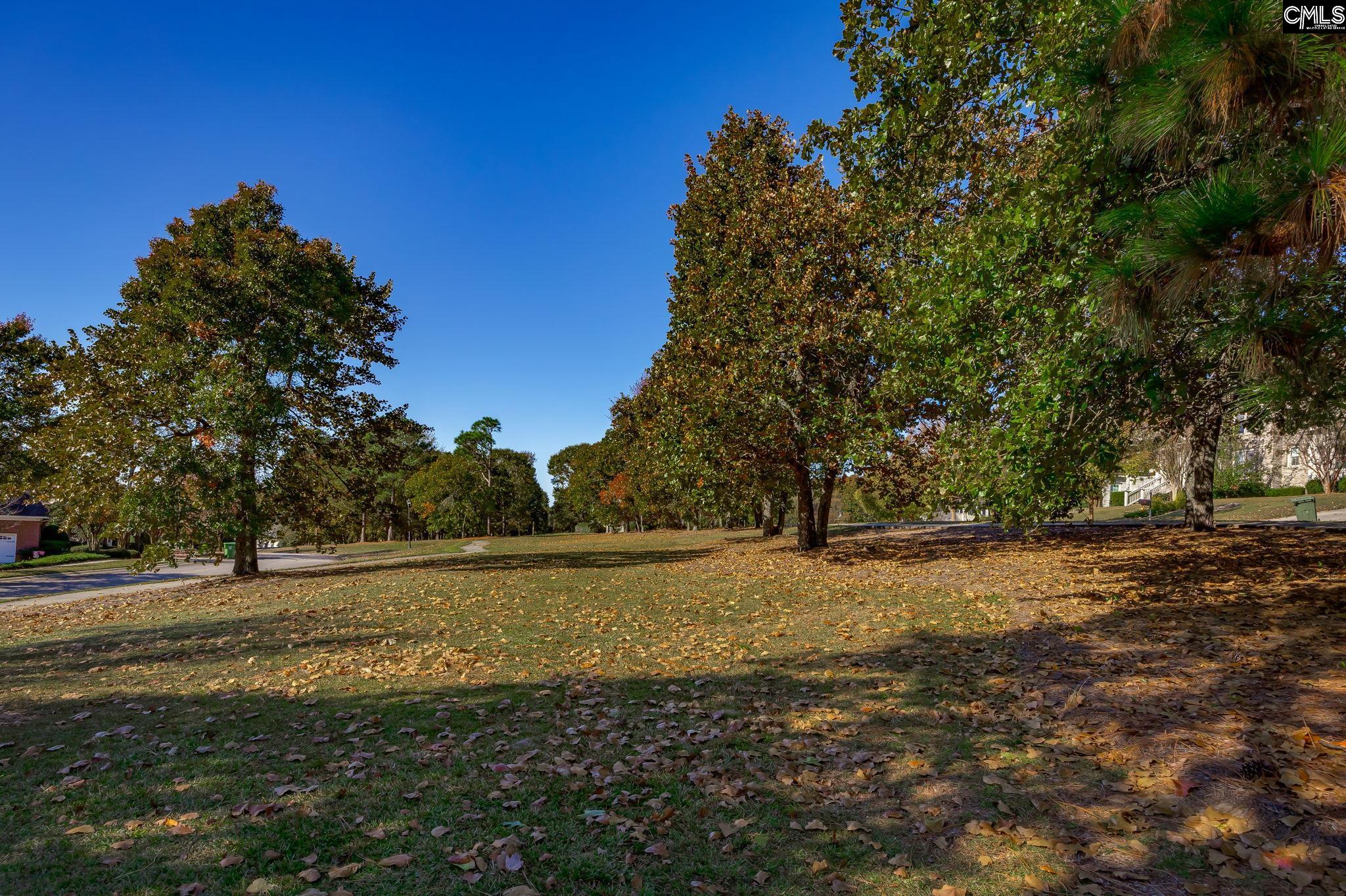 117 Parish Walk Elgin, SC 29045 - Photo 77 of 78