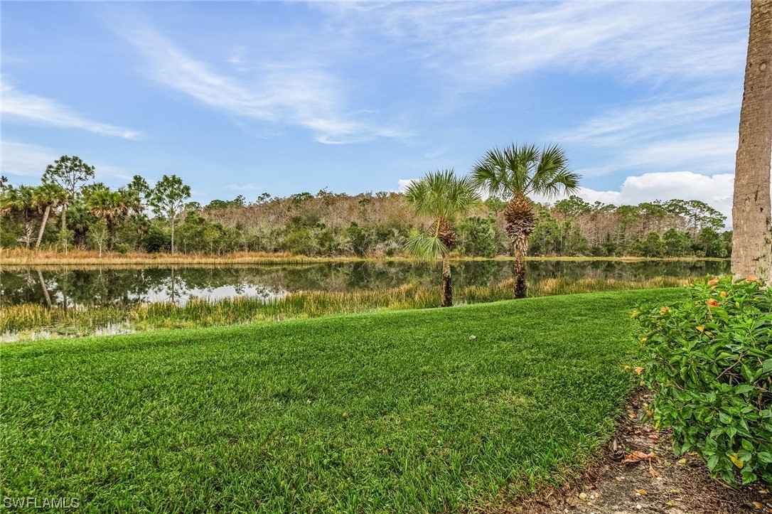 10321 Cape Roman Road, Unit 102 Estero, FL 34135 - Photo 33 of 33 a view of a lake with a big yard