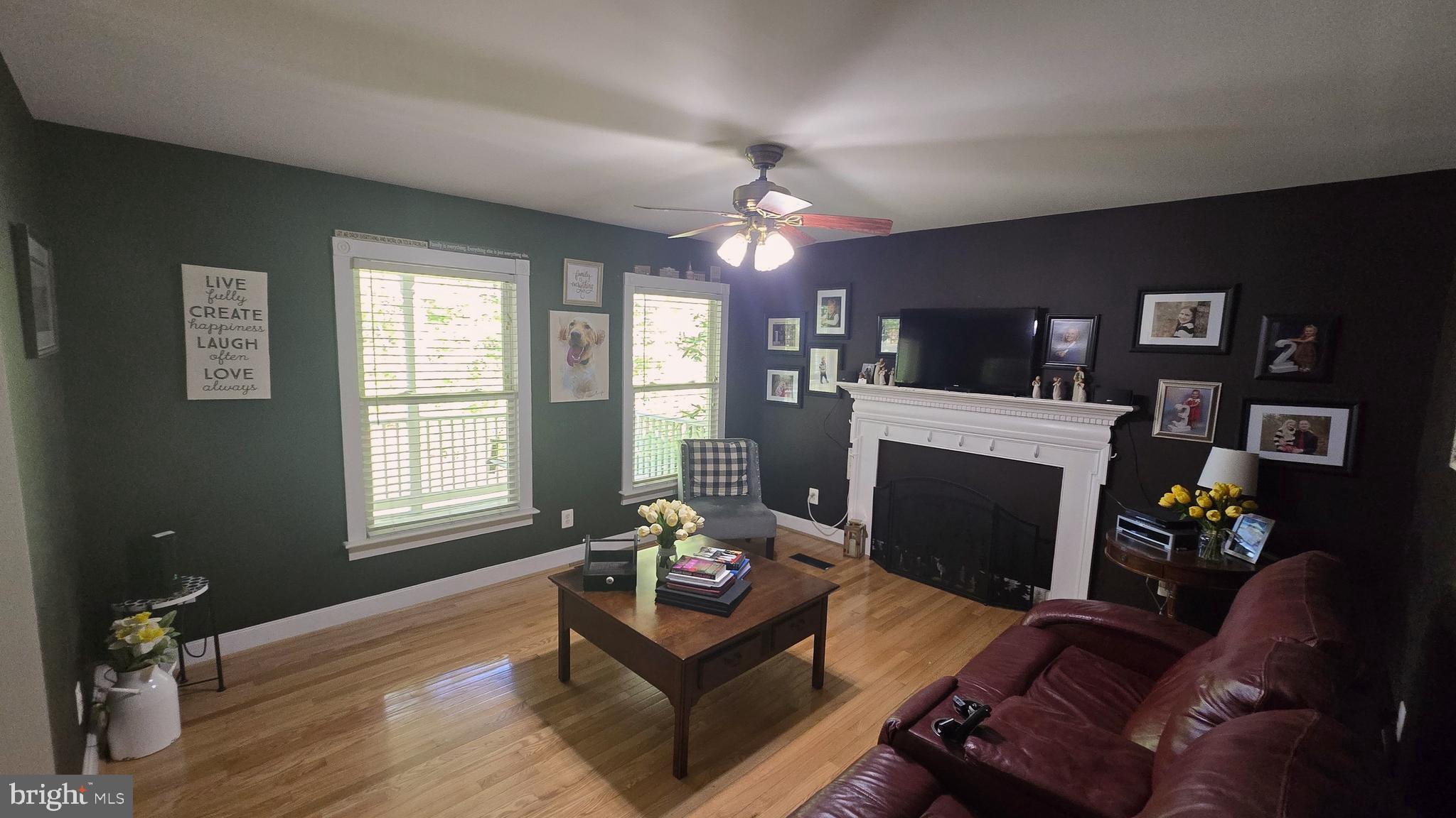 17155 Hudson Mill Road Culpeper, VA 22701 - Photo 10 of 39 a living room with furniture a flat screen tv and a fireplace